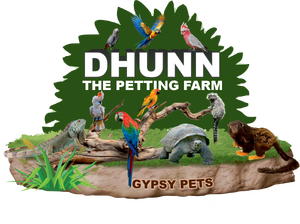 Dhunn – The Petting Farm